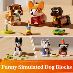 QLT QIAOLETONG premium ABS plastic image shows durable blocks for active kids.