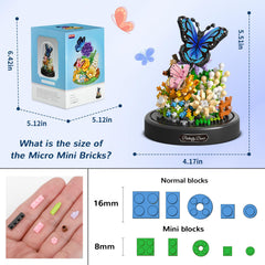 QLT QIAOLETONG valentines gift idea invites thoughtful surprises and family bonding