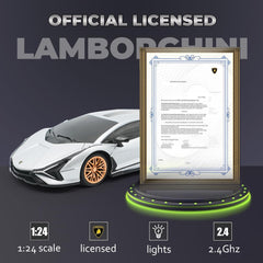 QUN XING Lamborghini Sian 1:24 top view, matte finish for display.