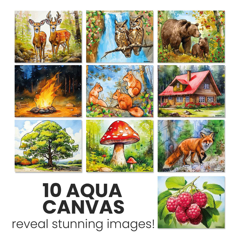 QUOKKA brush-included set enables vibrant art with minimal effort