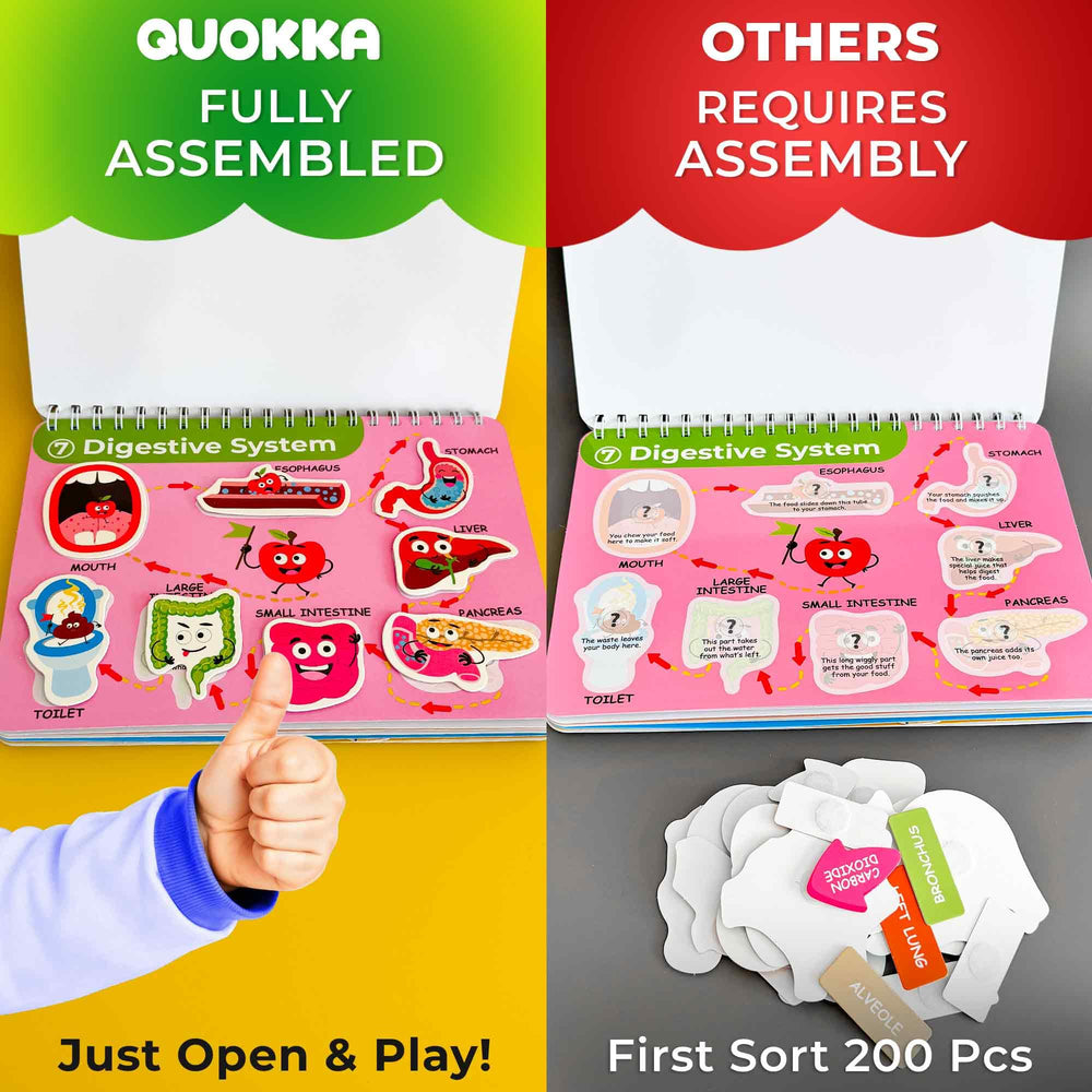 QUOKKA Busy Book brain and organs page invites hands-on exploration