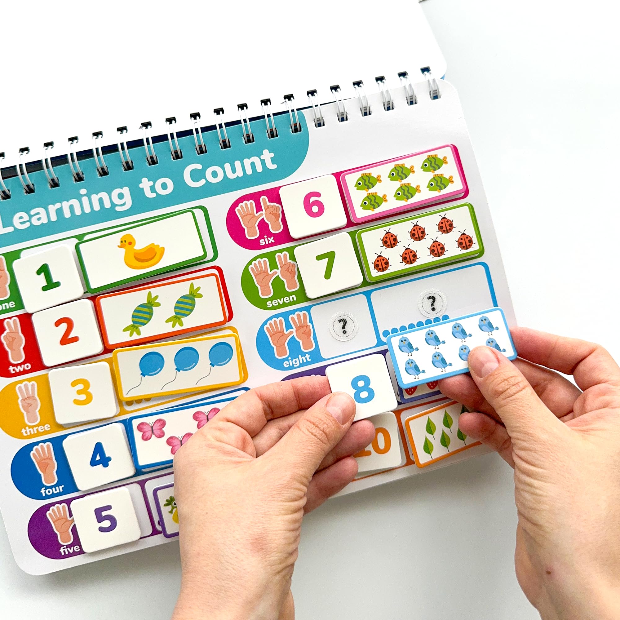QUOKKA Fine motor skills activity strengthens hand-eye coordination