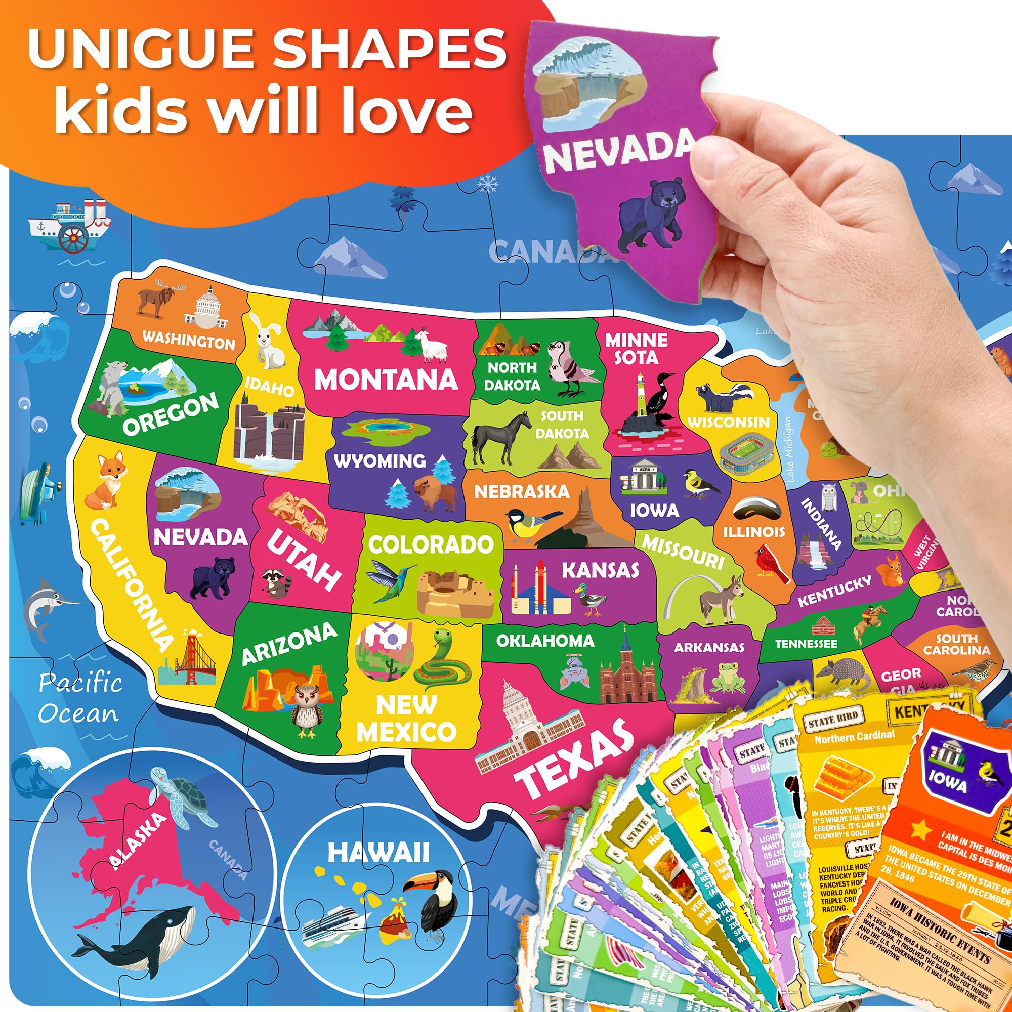 QUOKKA USA flashcards with 400+ facts for curious minds