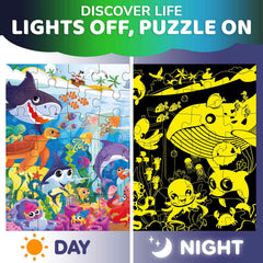 QUOKKA glow turtle detail showcases nocturnal marine life