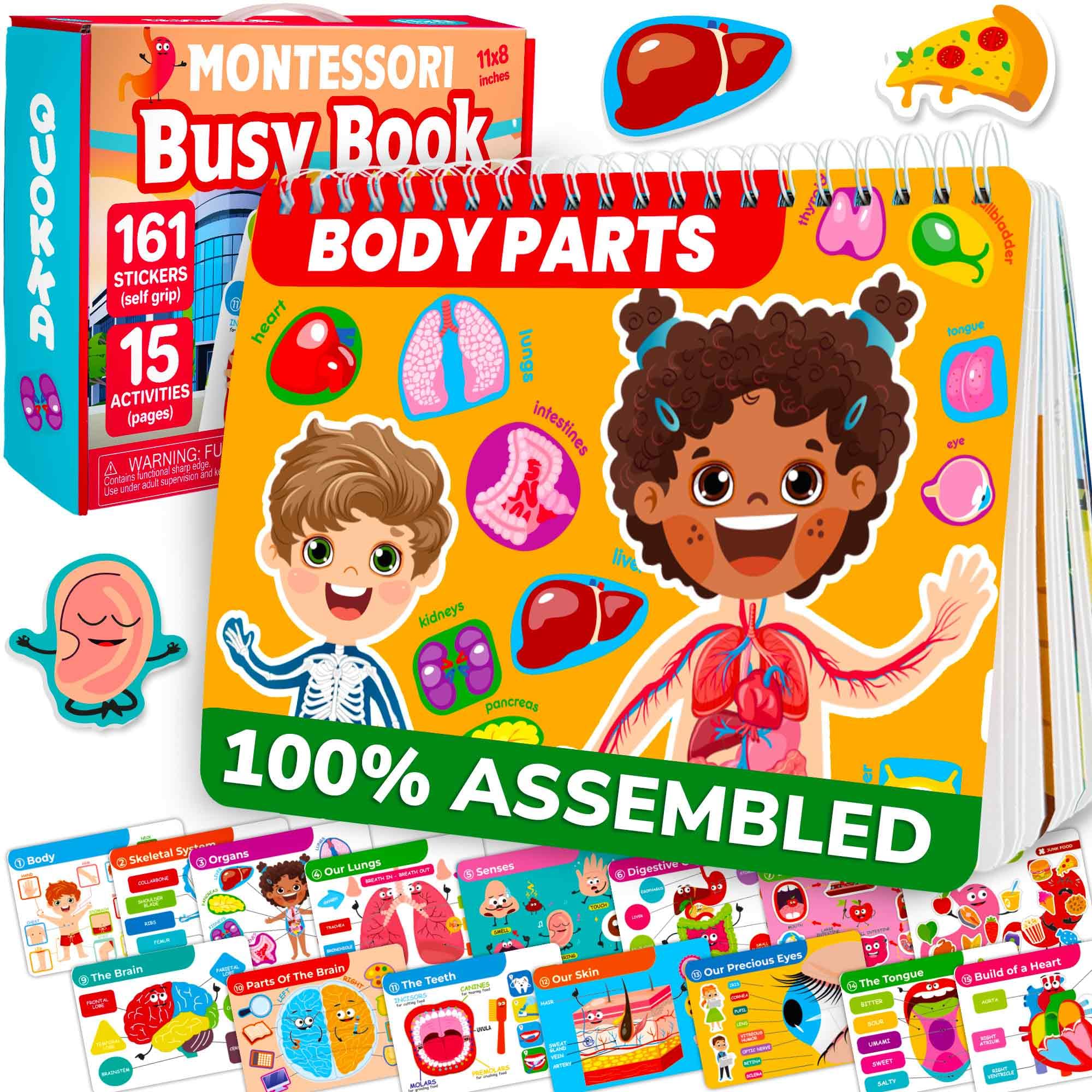 QUOKKA Human Body Busy Book cover with vivid anatomy scenes for curious kids
