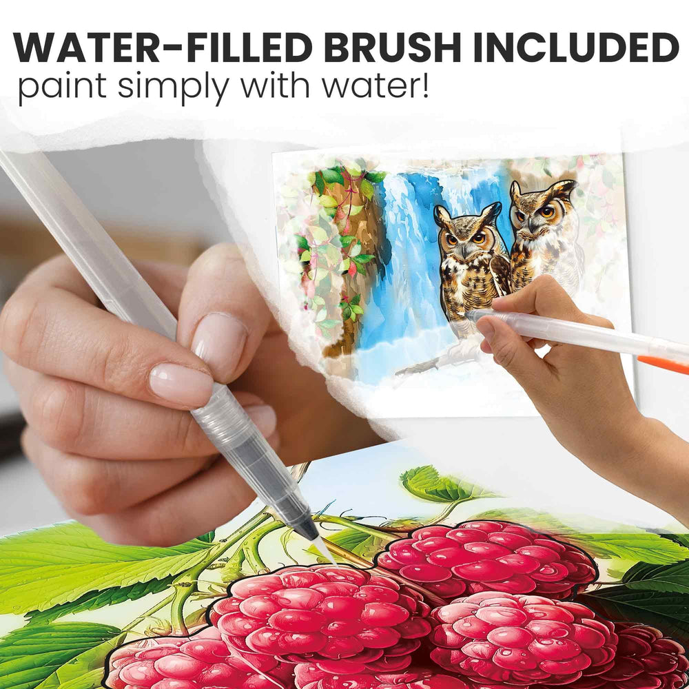 QUOKKA water painting reveals bright images with a simple touch for engagement