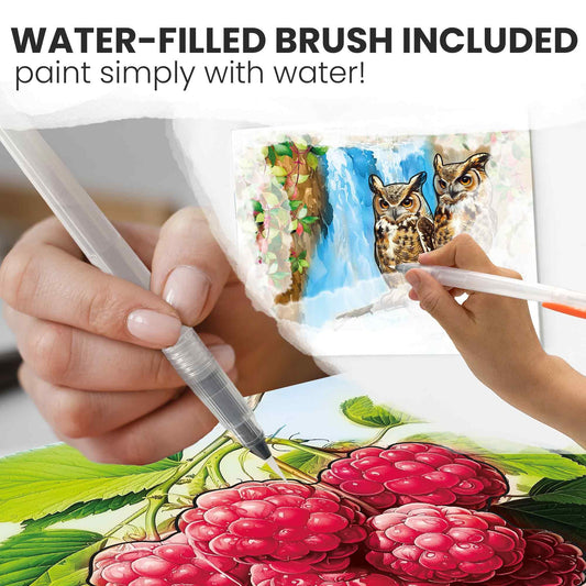 QUOKKA water painting reveals bright images with a simple touch for engagement