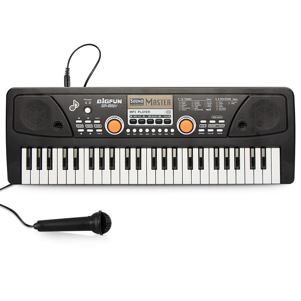Raimy 49-key kids piano for joyful play and exploration.