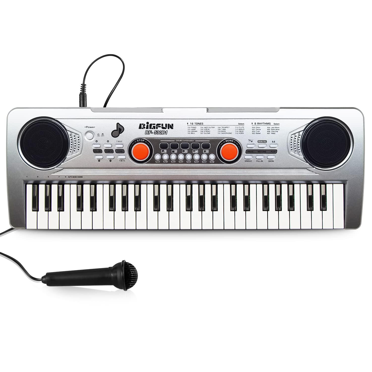 Raimy 49-key keyboard front view for easy beginner play