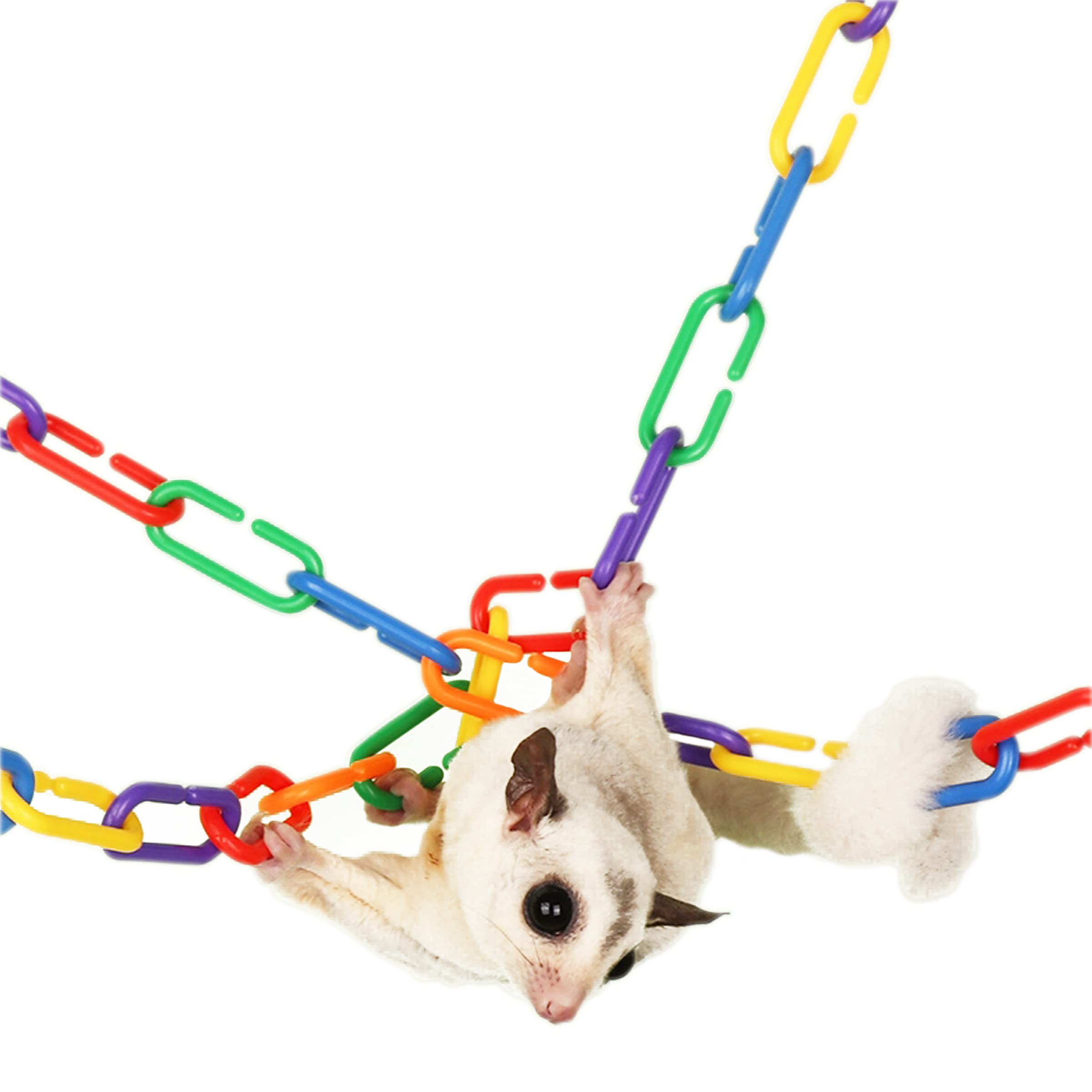 Rainbow Toyfrog storage container keeps pieces organized and portable.