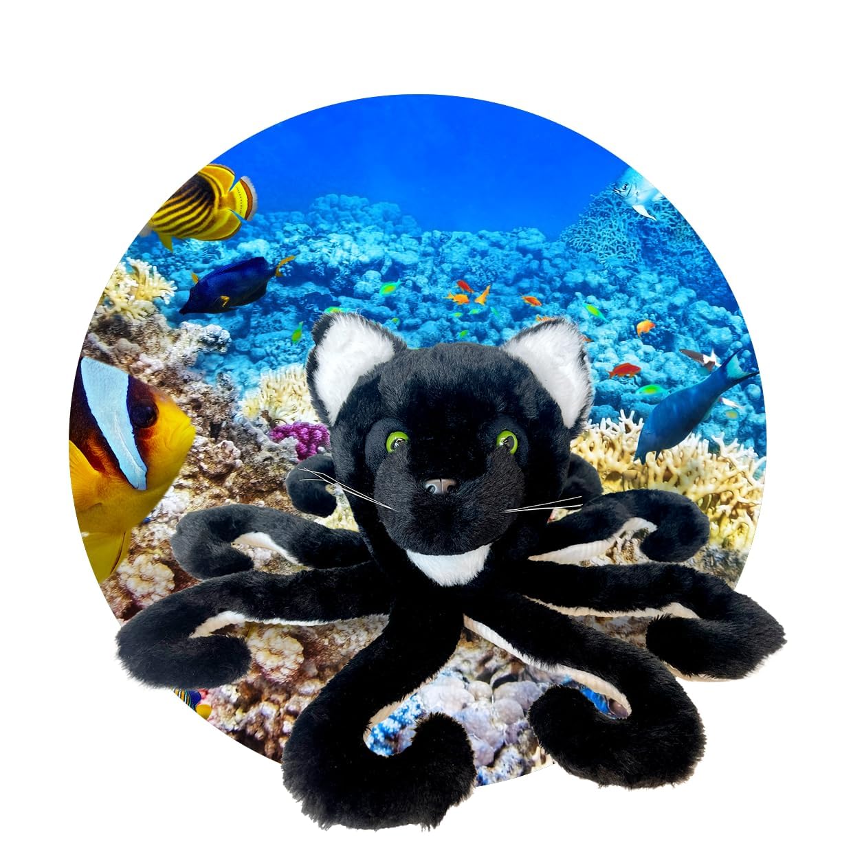 Randimals Octopuss-Pussycat plush shown with child for playtime adventures.