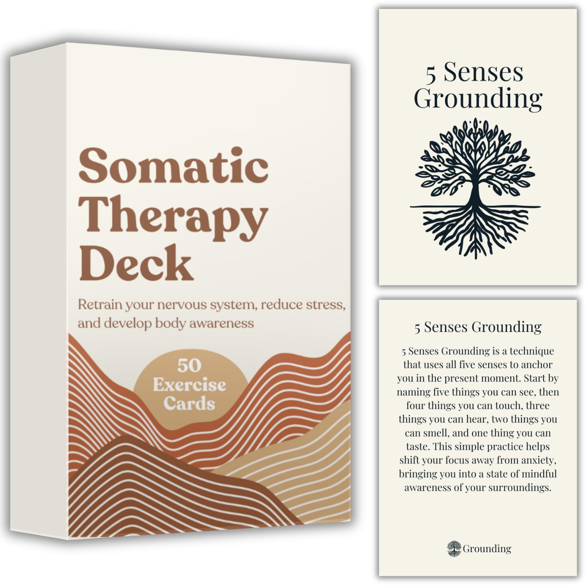 Raptor Studio Somatic Therapy Cards cover for calm mindfulness and daily stress relief
