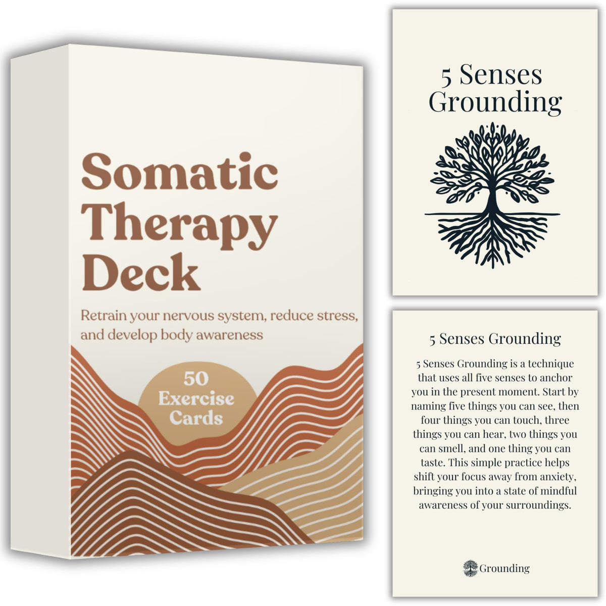 Raptor Studio Somatic Therapy Cards cover for calm mindfulness and daily stress relief