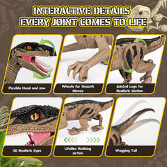 Rcfunkid dinosaur toy rechargeable battery for longer sessions