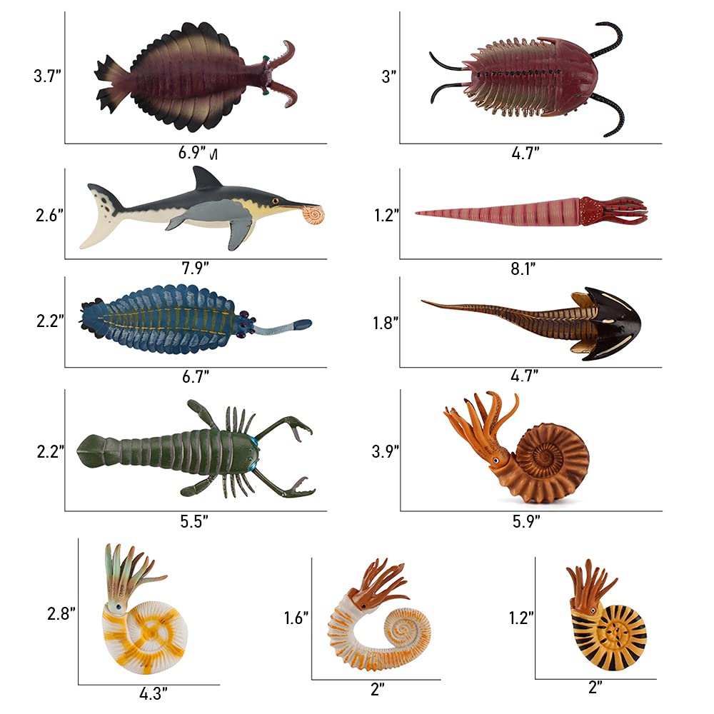 RCOMG Cameroceras figure supports hands-on science displays and pretend sea exploration