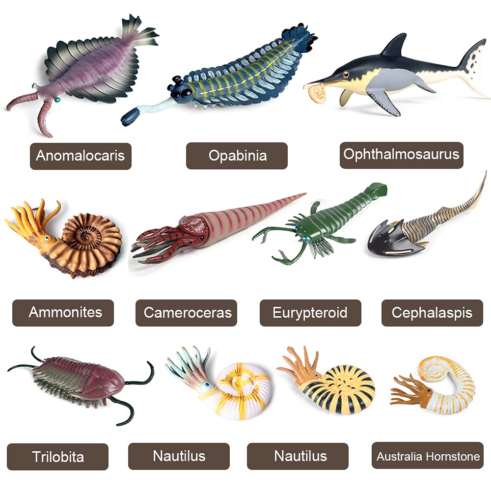RCOMG Opabinia figure ideal for storytelling and sensory play at water tables