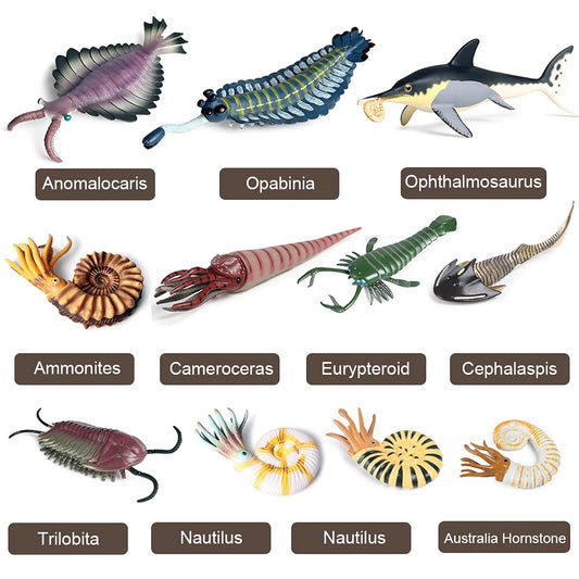 RCOMG Opabinia figure ideal for storytelling and sensory play at water tables