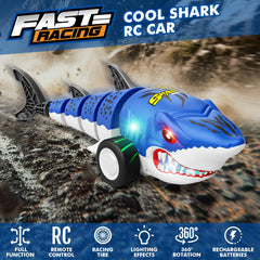 Rcovasc shark car with off-road tires for indoor and outdoor adventures