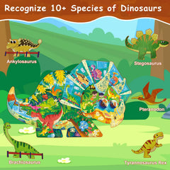 RealRindo eco-friendly cardboard puzzle with smooth edges for safe, durable use.