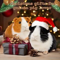 Redaica guinea pig close-up showing plush pile for tactile comfort.