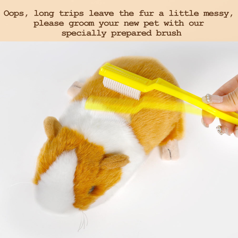Redaica two-piece guinea pig set suitable as stocking stuffers.