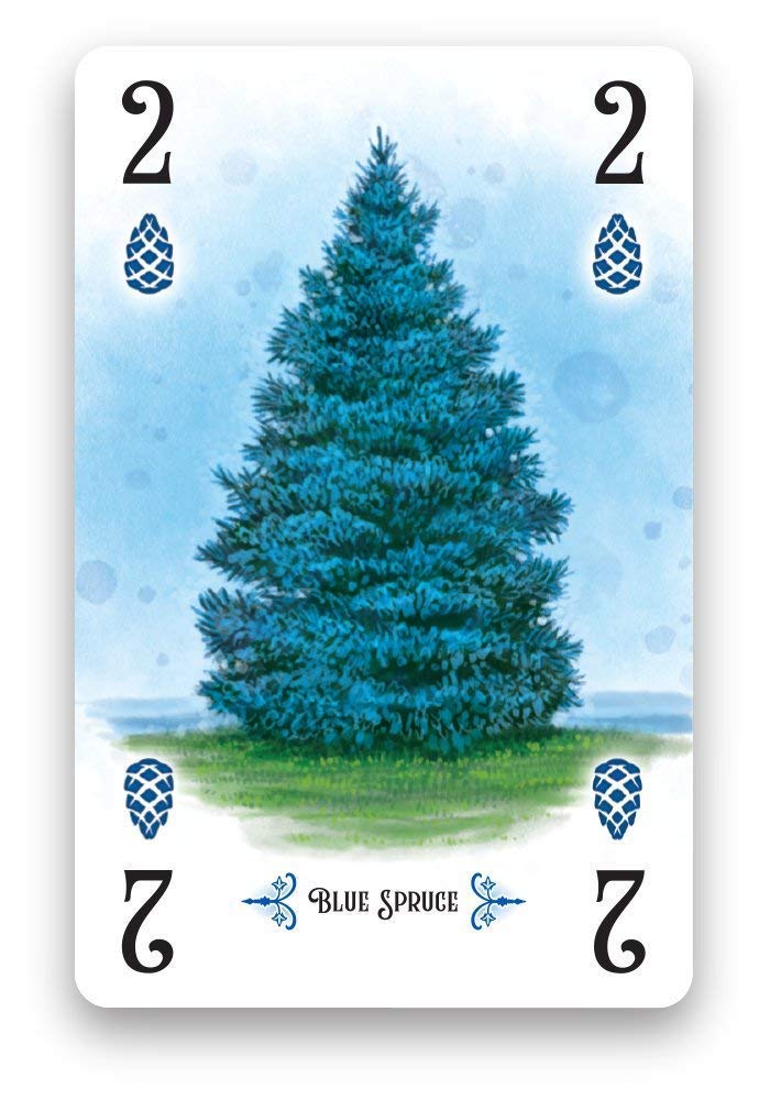 Renegade Arboretum box content and artwork showcasing accessible strategy gameplay.