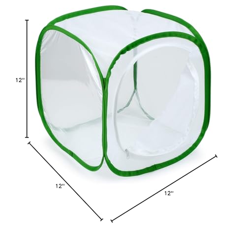 RESTCLOUD monarch habitat assembled cube shows stable, straight setup.