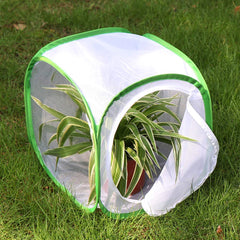 RESTCLOUD monarch habitat clear vinyl window lets students observe chrysalis changes.