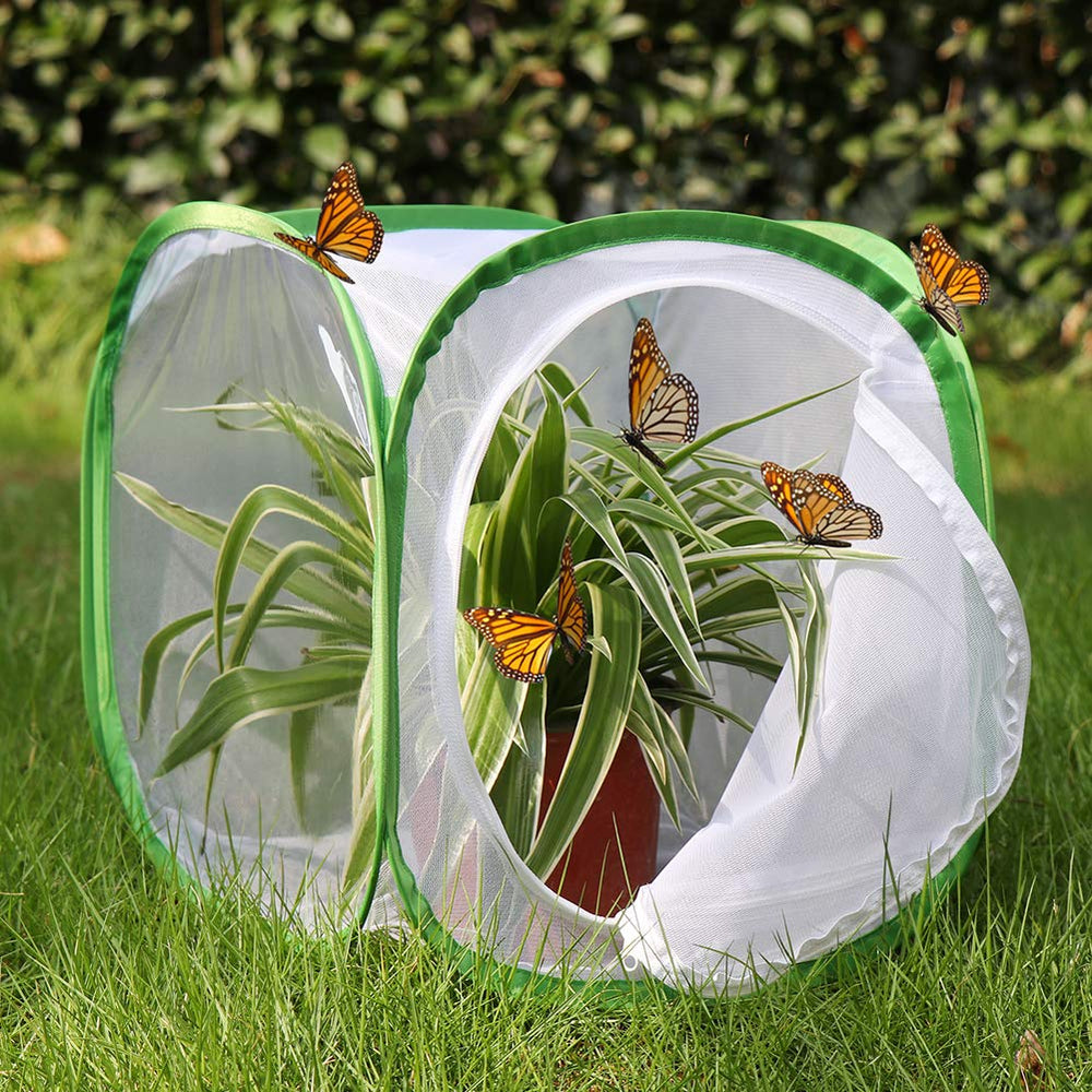 RESTCLOUD monarch habitat mesh panels promote airflow during butterfly rearing.