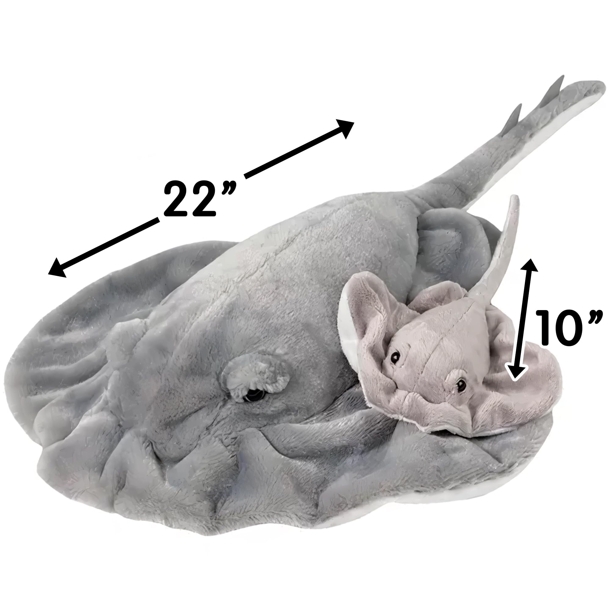 Rhode Island Novelty stingray hang tag detail highlights packaging and product authenticity.