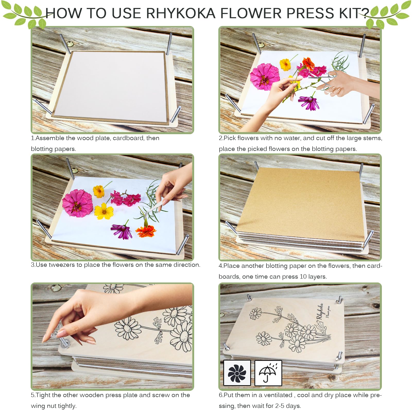 Rhykoka easy-to-use layout simplifies setup and operation