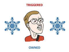 Right Or Racist Own The LlBBs gift box ready for holiday gifting.