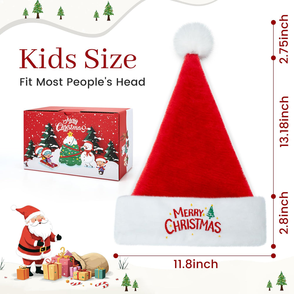 RJVW Santa hat hand-wash care for long-lasting use