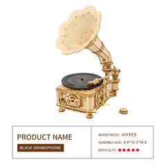 ROKR gramophone supports 7 and 10 inch vinyl for realism.