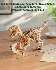 ROKR Walking Dino 189-piece STEM kit supports beginner-friendly building and problem solving.