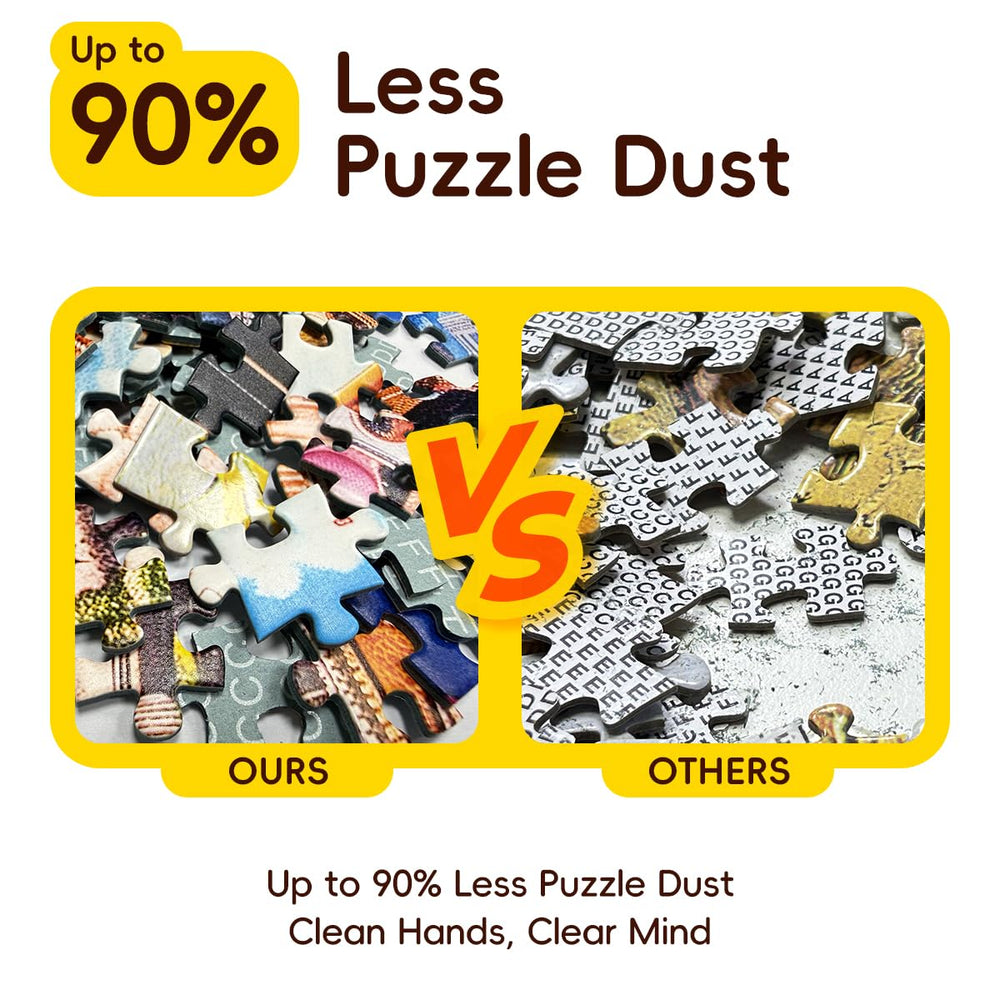 Rose Rain letters-on-back eight zones enable quick sorting and varied play
