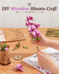 rowood cardboard base display supports single stems attractively