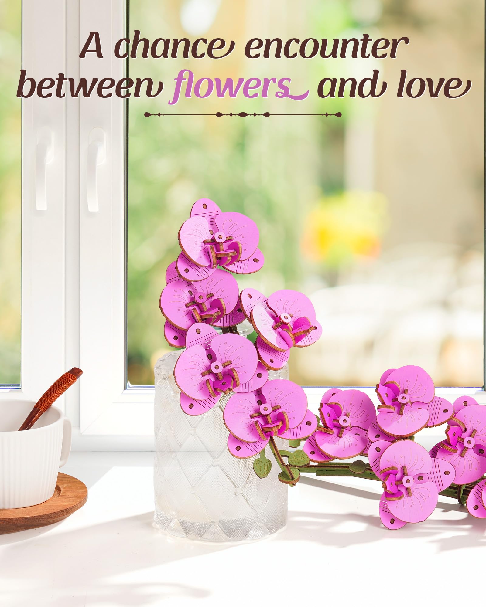 rowood purple moth orchid gift adds elegant botanical charm