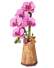 rowood wooden flower kit assembly enhances customizable blooms for display