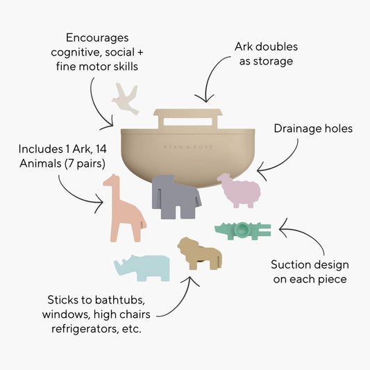 Ryan & Rose Noah's Ark animals arranged to support cognitive play.