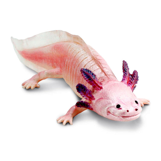 Safari Ltd Axolotl Figurine with realistic features for classroom exploration and imaginative play.