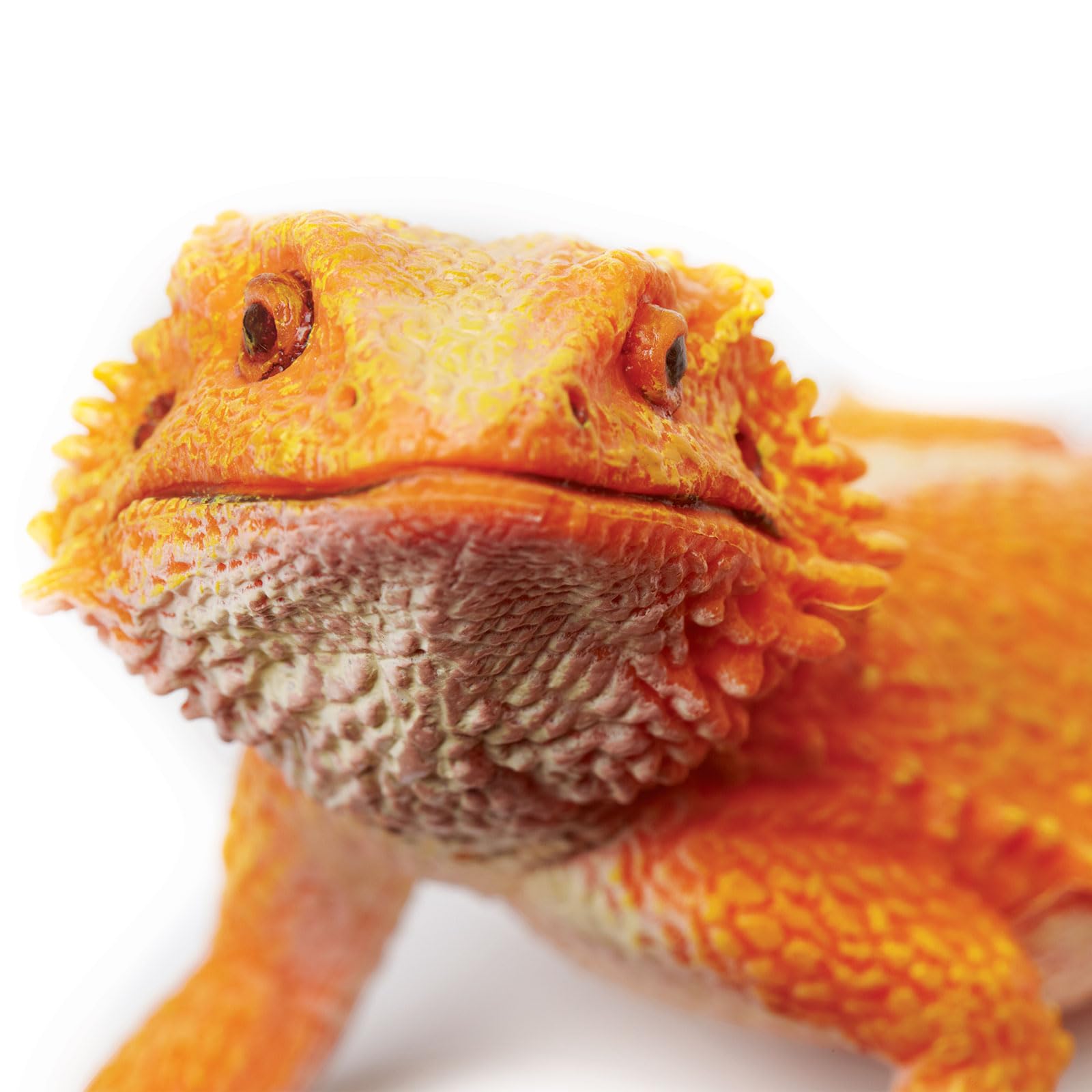 Safari Ltd Bearded Dragon figurine — hand-painted finish enhances realism for learning.