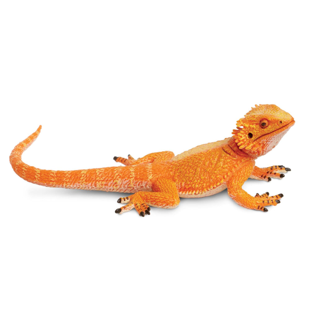 Safari Ltd Bearded Dragon figurine with sculpted-detail for accurate play and display.