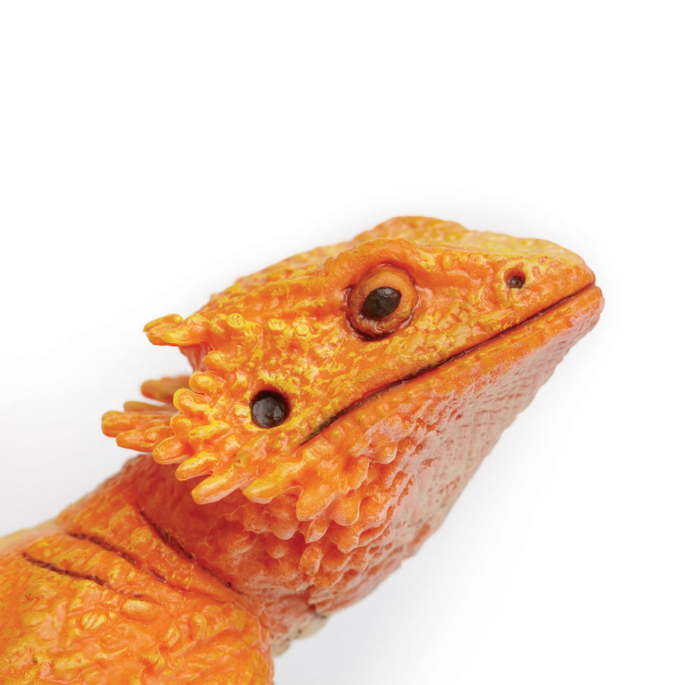 Safari Ltd Bearded Dragon figurine — size reference with paper and cards for scale.