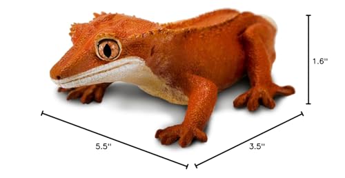 Great for display, education, and imaginative exploration with Safari Ltd crested gecko