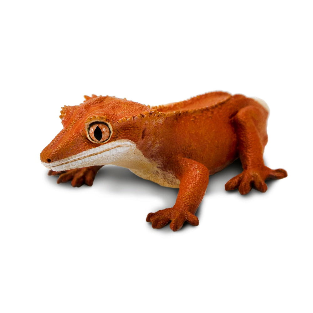 Realistic textured skin and spikes enhance tactile learning with Safari Ltd crested gecko