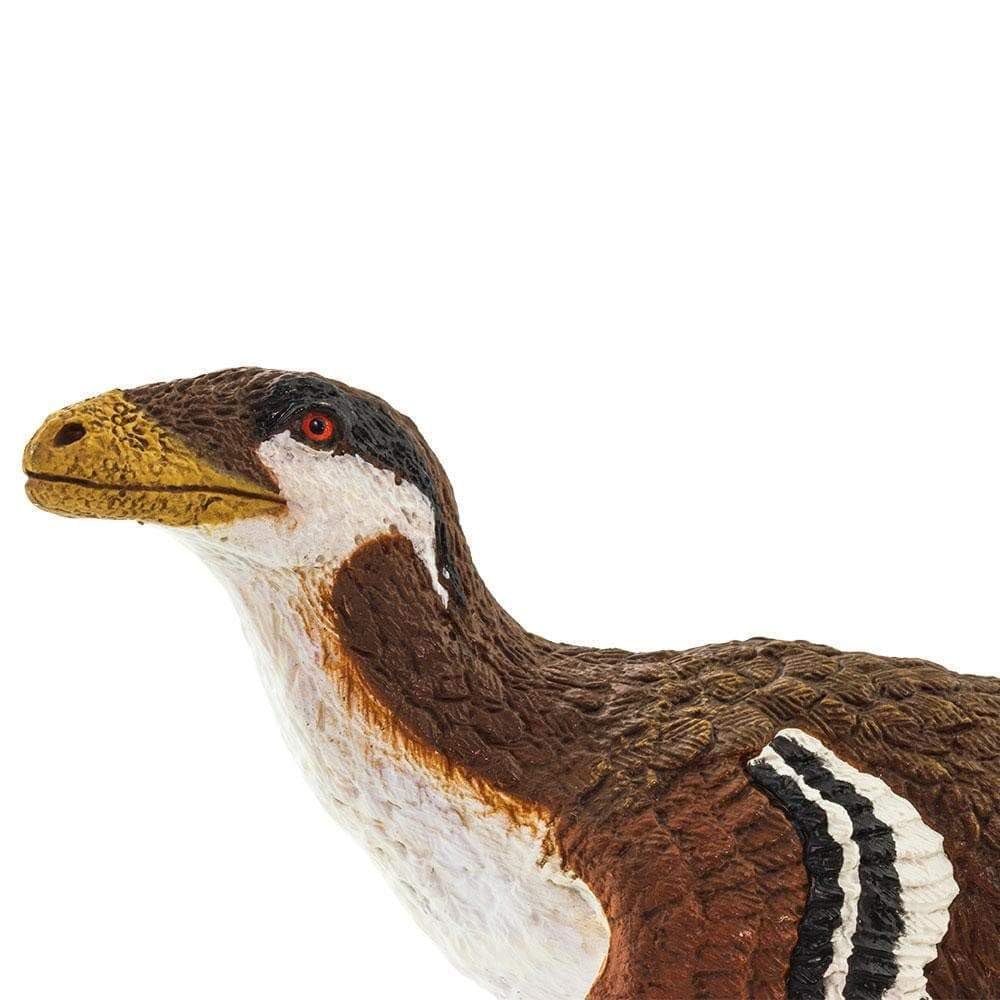 Safari Ltd Deinonychus figure educational display invites hands-on exploration and classroom discussion.