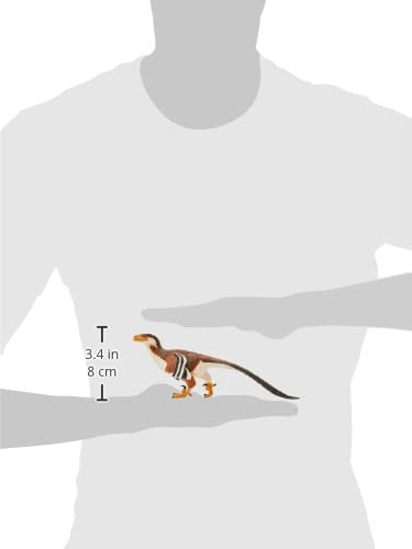 Safari Ltd Deinonychus figure size 8.75 inch for classroom display and collection teamwork.