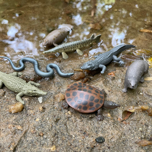 Safari Ltd Everglades TOOB alligator miniature supports tactile learning about wetland predators.