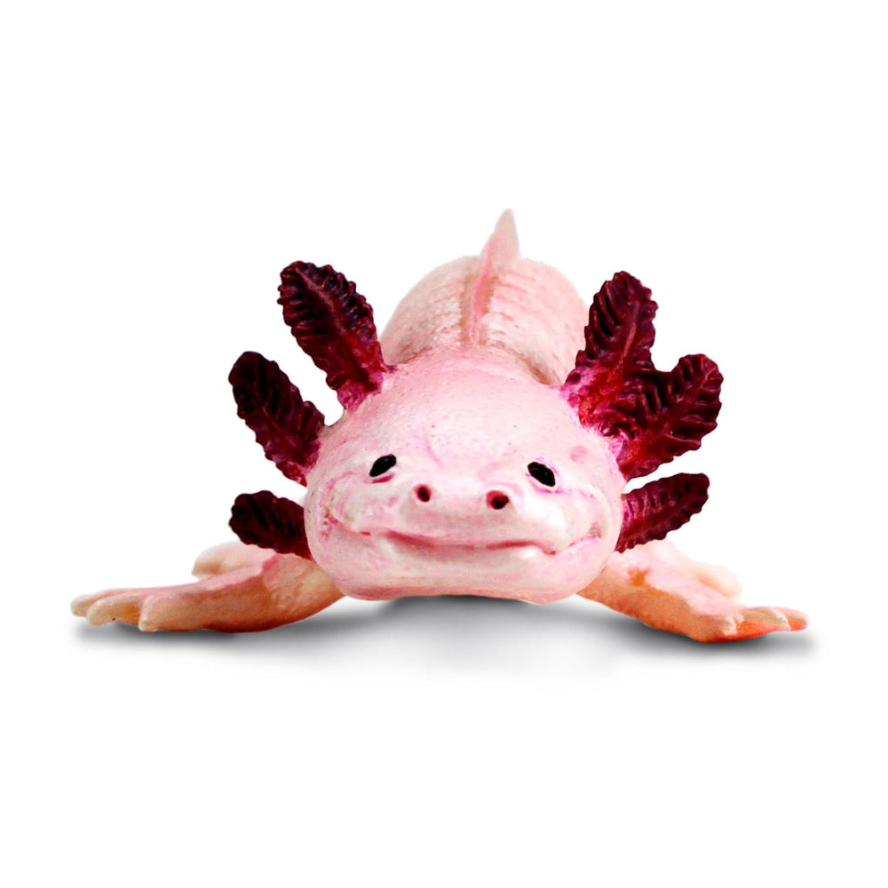 Safari Ltd Incredible Creatures collection offers diverse animal learning.